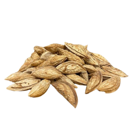 Almonds with Shell (Kagzi)